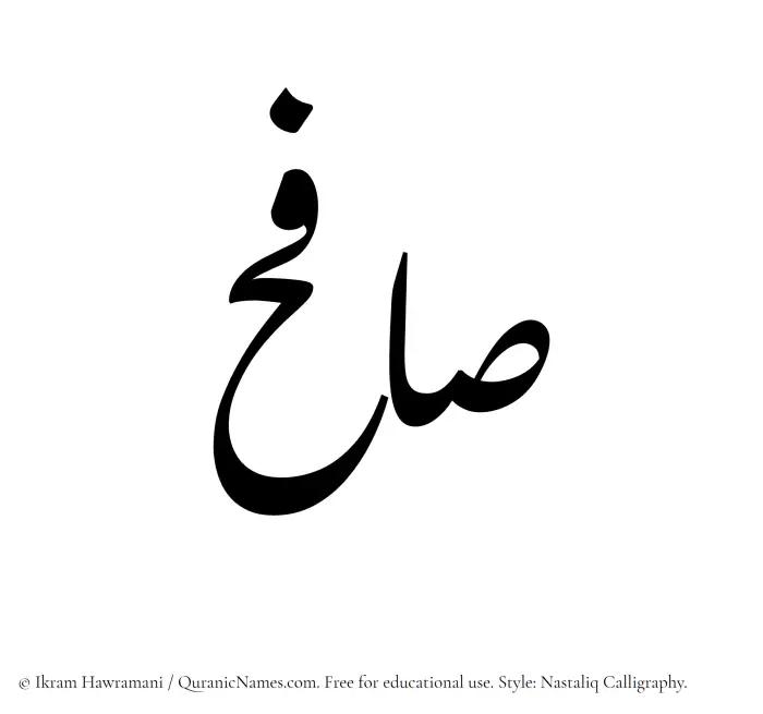 The Muslim name word Safih written in Nastaliq calligraphic script