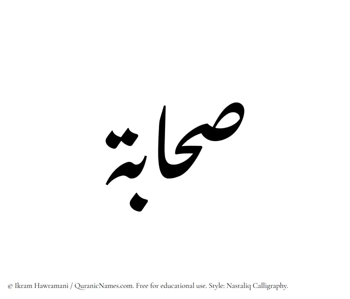 The Muslim name word Sahabah written in Nastaliq calligraphic script