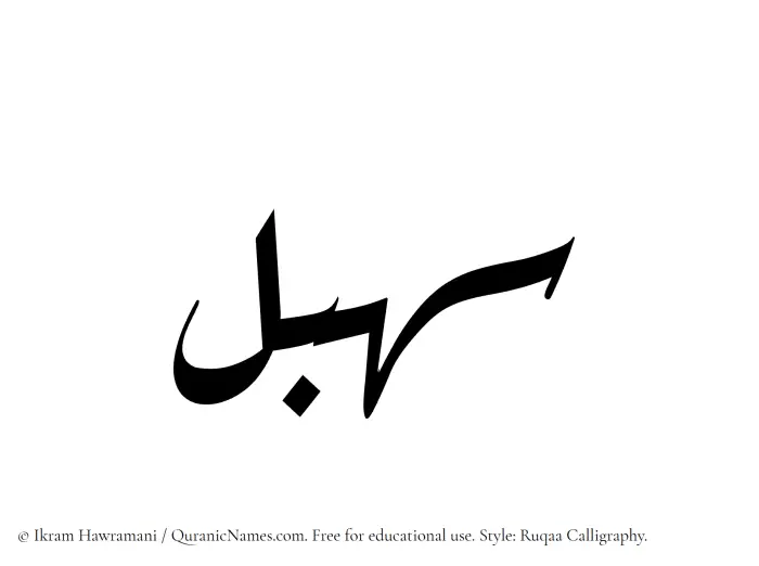 The Muslim name Sahbal written in Ruqaa calligraphic script