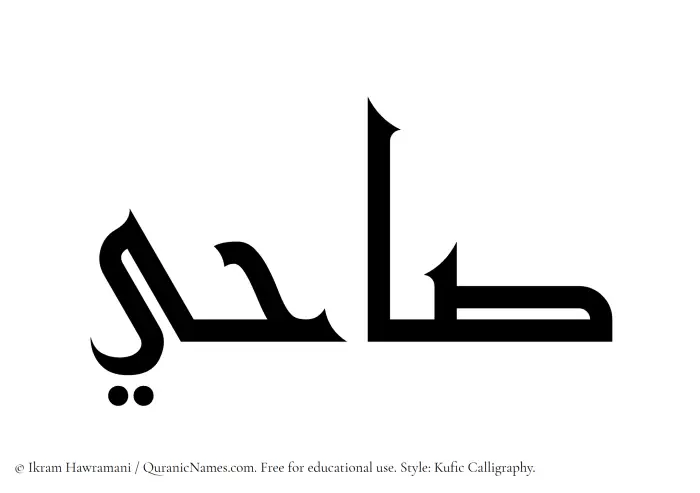 The Muslim name Sahi written in Kufi/Kufic calligraphic script