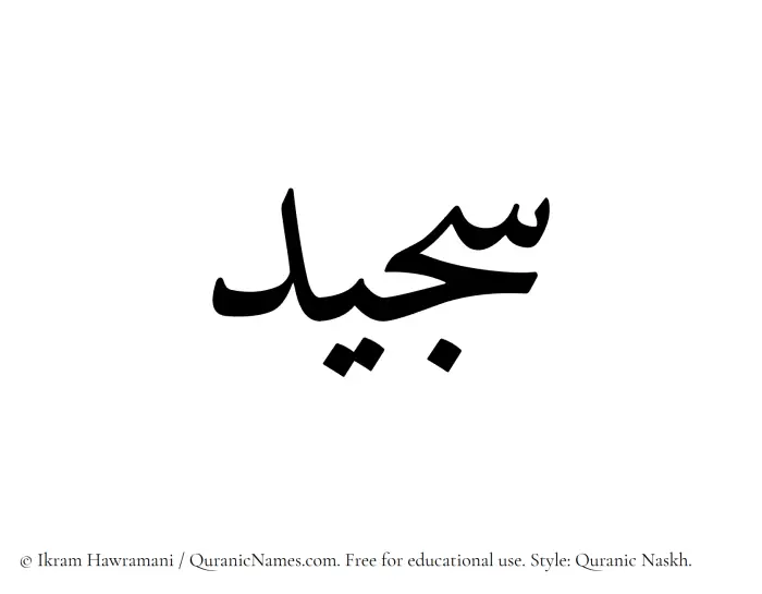 The Muslim name Sajeed written in Quranic naskh script