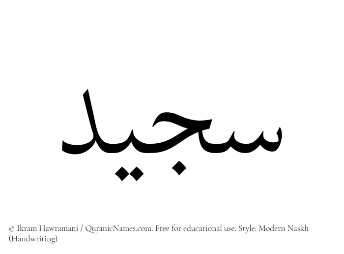 The Muslim name Sajeed written in naskh script