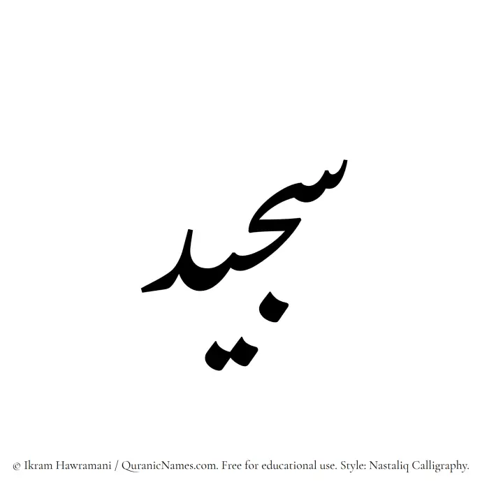 The Muslim name word Sajeed written in Nastaliq calligraphic script