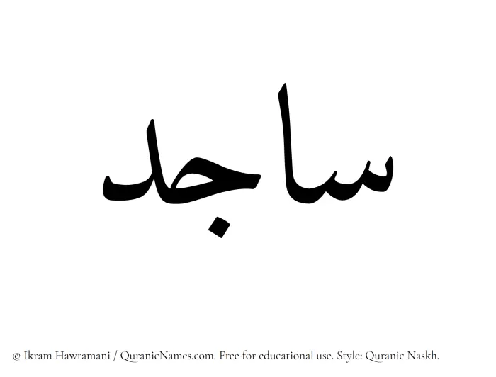 The Muslim name Sajid written in Quranic naskh script