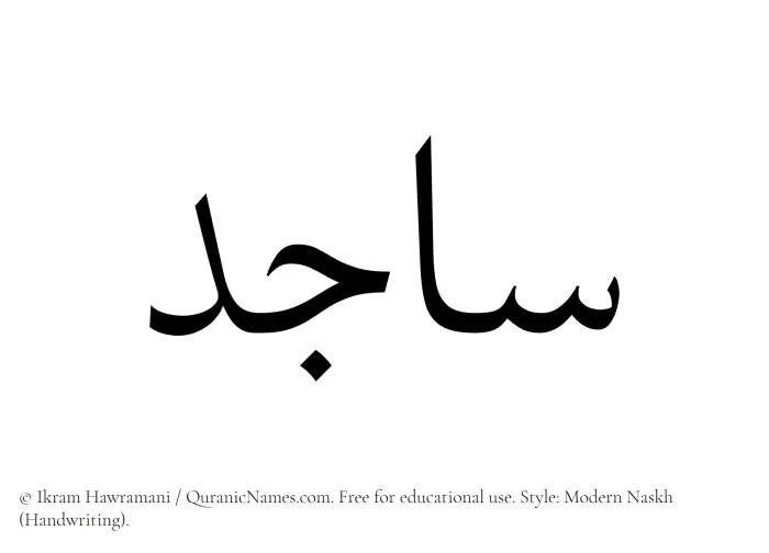 The Muslim name Sajid written in naskh script