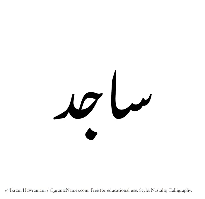 The Muslim name word Sajid written in Nastaliq calligraphic script