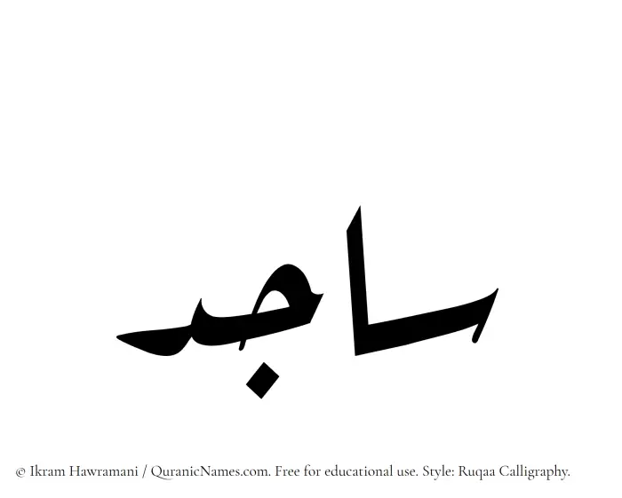 The Muslim name Sajid written in Ruqaa calligraphic script