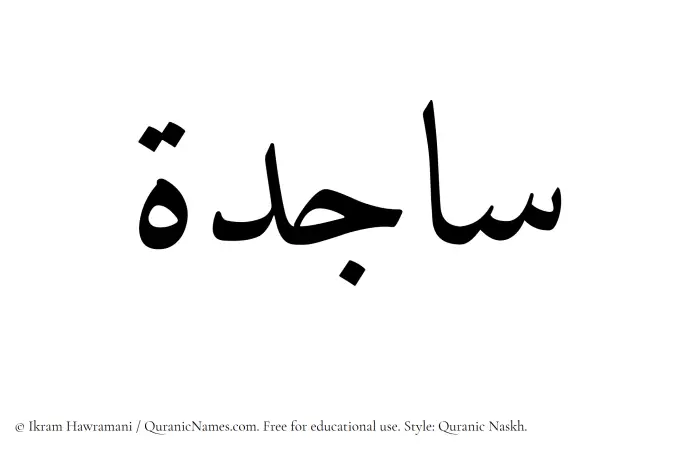 The Muslim name Sajida written in Quranic naskh script
