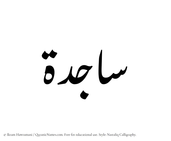The Muslim name word Sajida written in Nastaliq calligraphic script