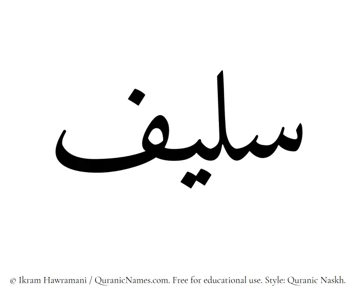 The Muslim name Saleef written in Quranic naskh script