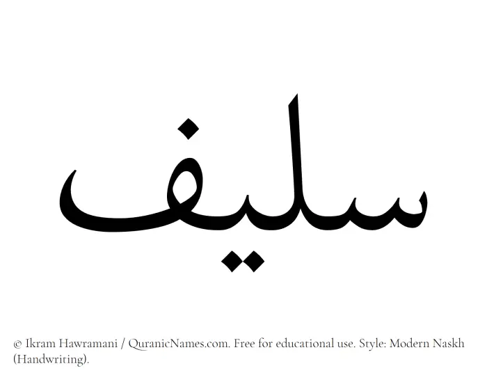 The Muslim name Saleef written in naskh script