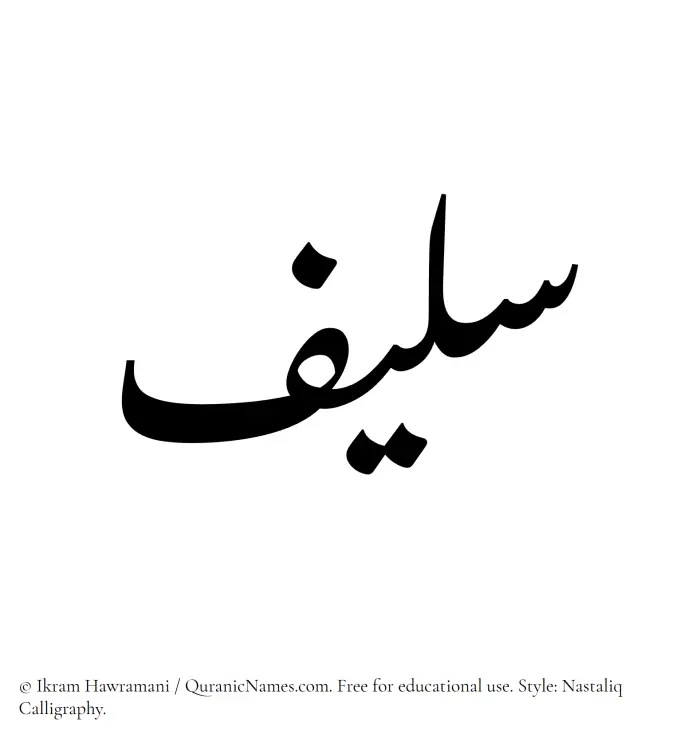 The Muslim name word Saleef written in Nastaliq calligraphic script