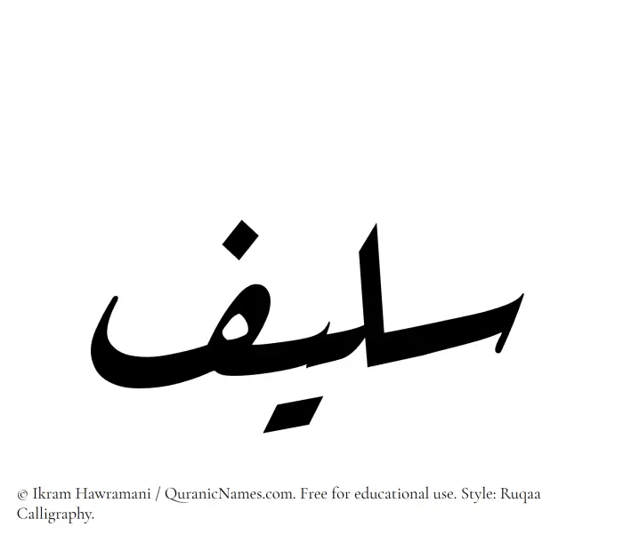 The Muslim name Saleef written in Ruqaa calligraphic script