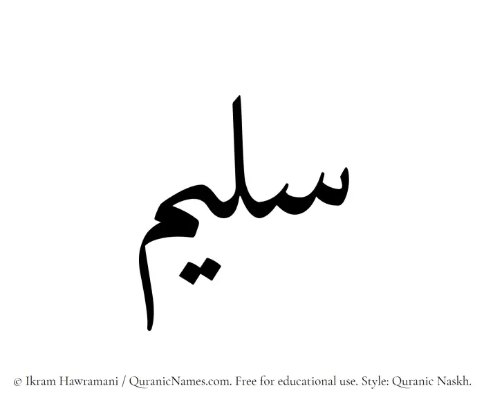The Arabic word Saleem written in Quranic naskh script