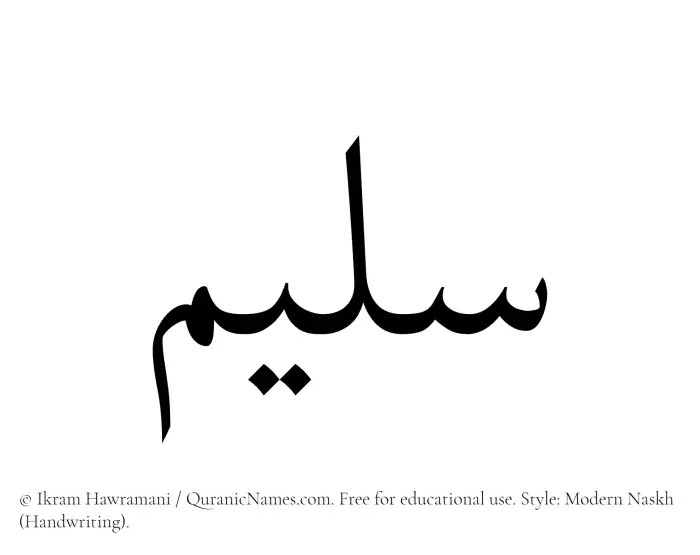 The Arabic word Saleem written in naskh script