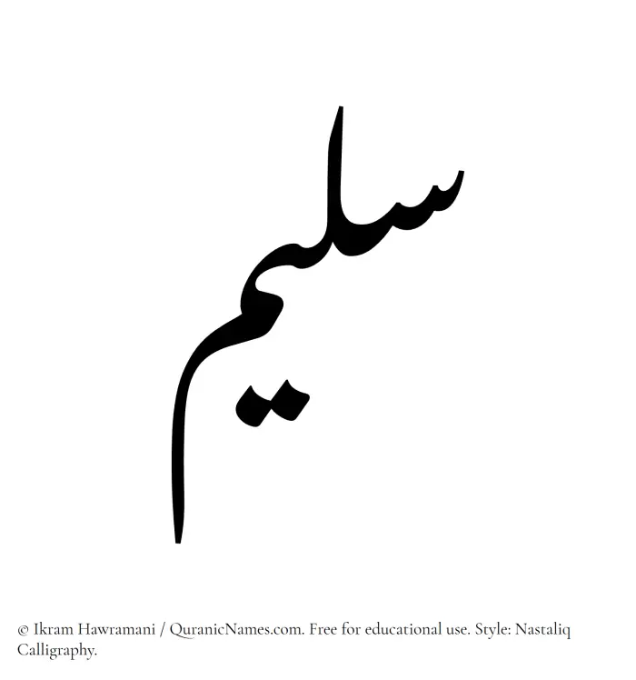 The Arabic word Saleem written in Nastaliq calligraphic script