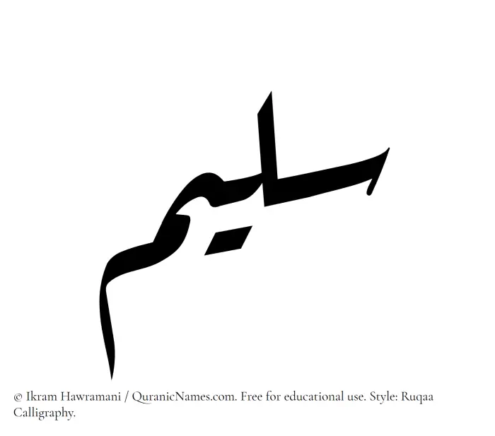 The Arabic word Saleem written in Ruqaa calligraphic script