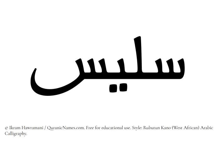 The Muslim name Salees written in Rubutun Kano calligraphic script