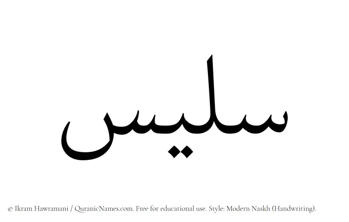 The Muslim name Salees written in naskh script
