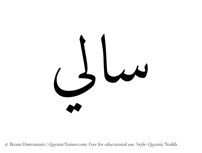 The Muslim name Sali written in Quranic naskh script