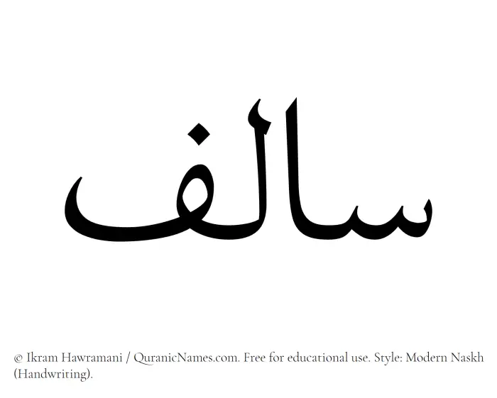 The Muslim name Salif written in naskh script