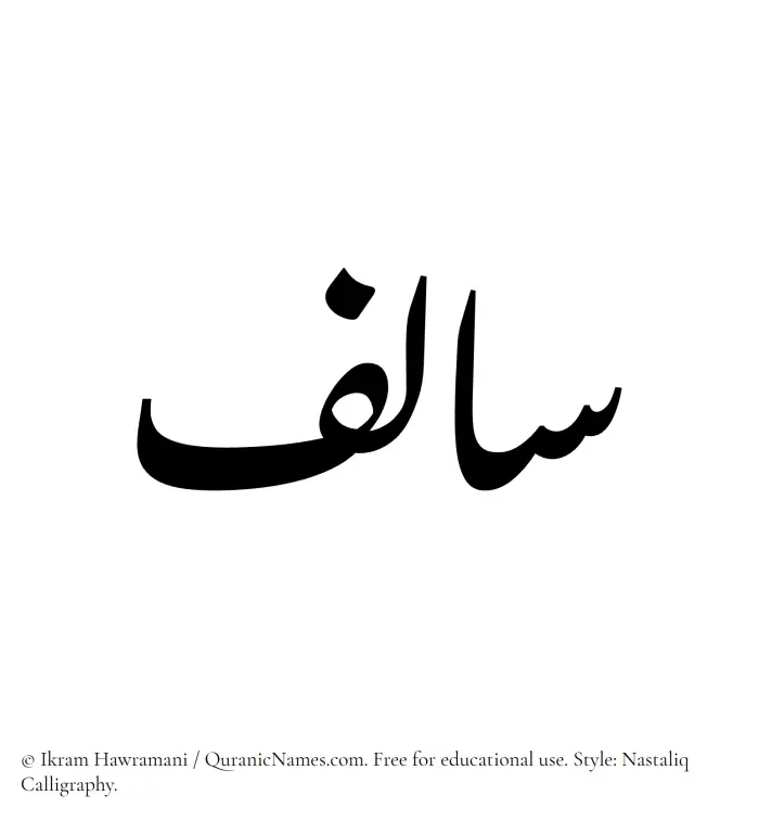 The Muslim name word Salif written in Nastaliq calligraphic script