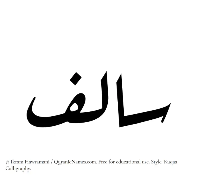 The Muslim name Salif written in Ruqaa calligraphic script