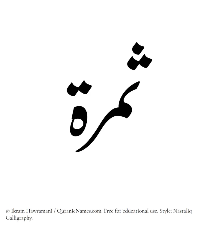 The Muslim name word Samarah written in Nastaliq calligraphic script