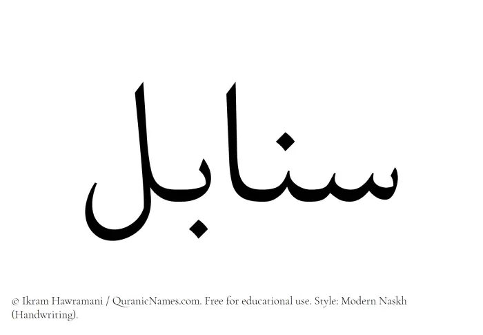 The Muslim name Sanabel written in naskh script
