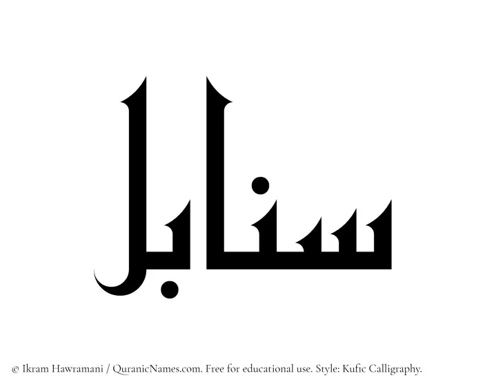 The Muslim name Sanabel written in Kufi/Kufic calligraphic script