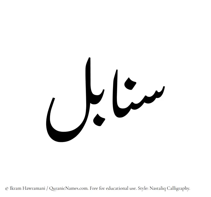 The Muslim name word Sanabel written in Nastaliq calligraphic script