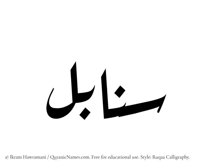 The Muslim name Sanabel written in Ruqaa calligraphic script