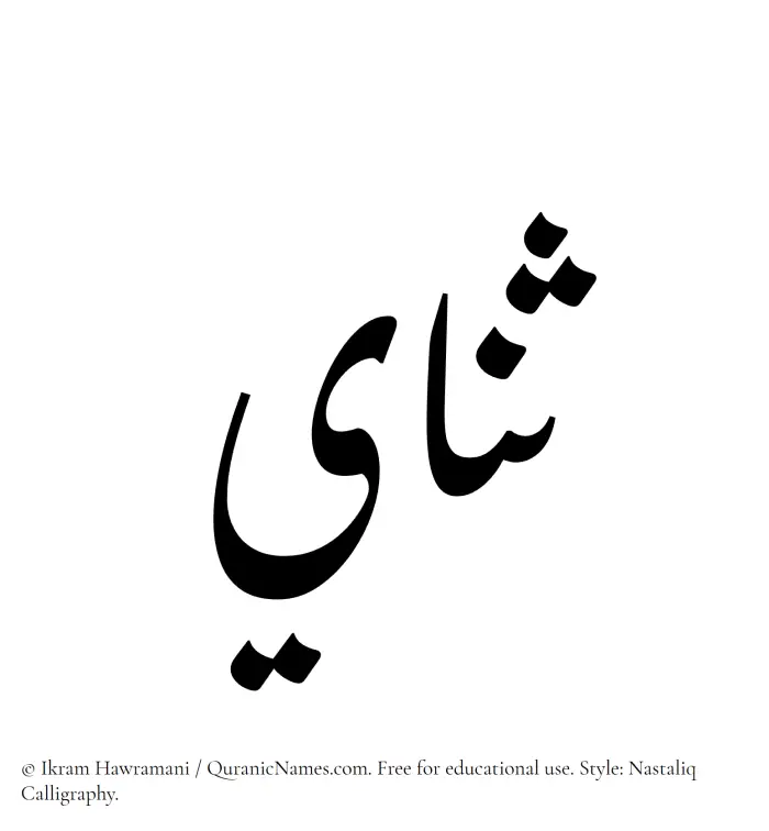 The Muslim name word Sanai written in Nastaliq calligraphic script