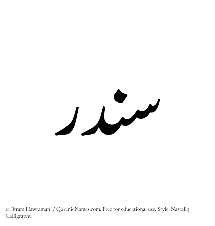 The Muslim name word Sandar written in Nastaliq calligraphic script