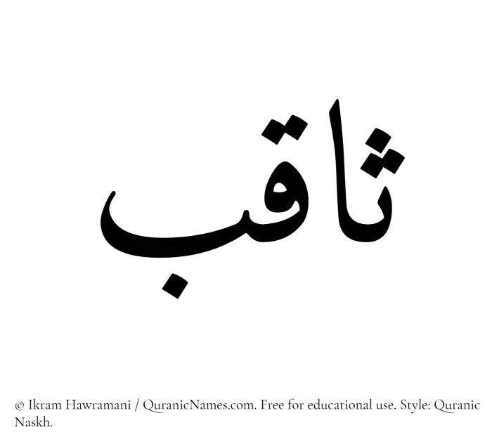 The Muslim name Saqib written in Quranic naskh script