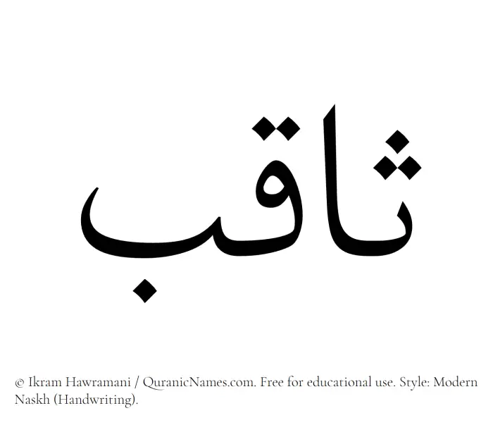 The Muslim name Saqib written in naskh script