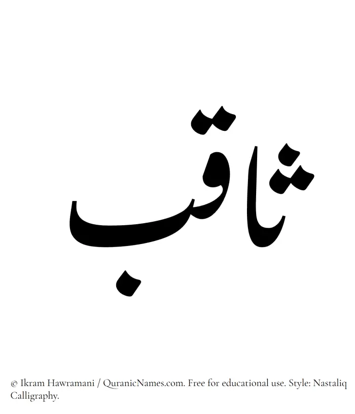 The Muslim name word Saqib written in Nastaliq calligraphic script