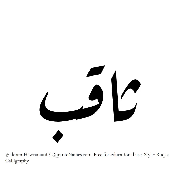 The Muslim name Saqib written in Ruqaa calligraphic script