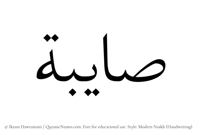 The Muslim name Sayibah written in naskh script