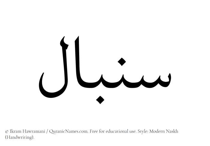 The Muslim name Senbal written in naskh script