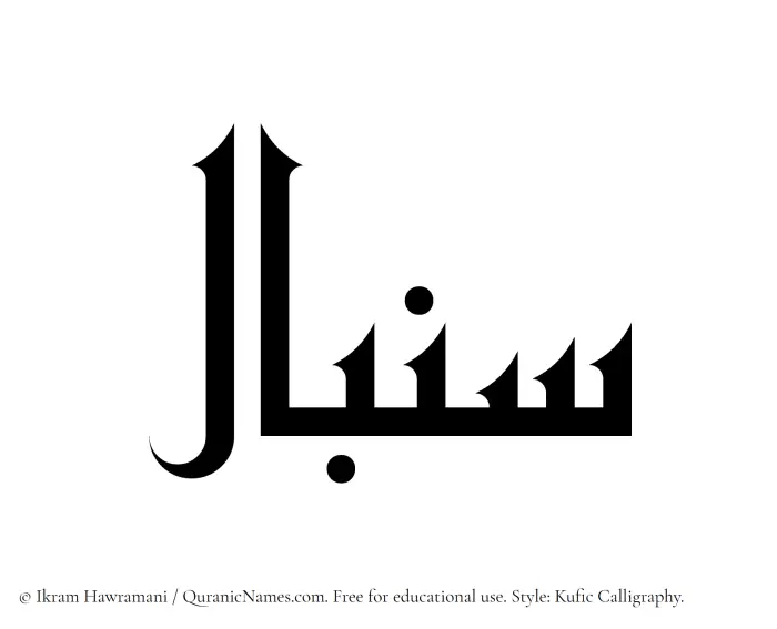 The Muslim name Senbal written in Kufi/Kufic calligraphic script