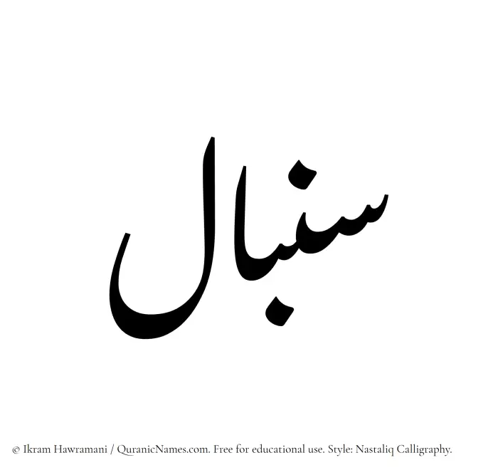 The Muslim name word Senbal written in Nastaliq calligraphic script