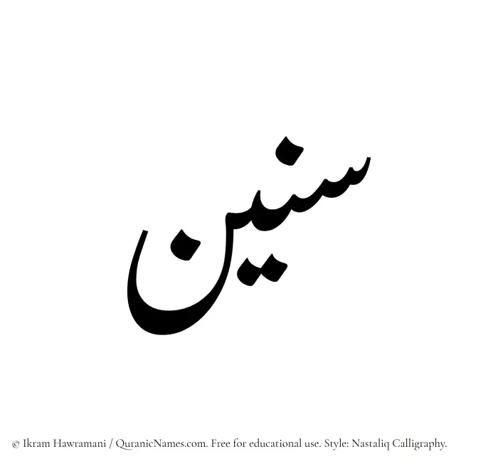 The Muslim name word Seneen written in Nastaliq calligraphic script