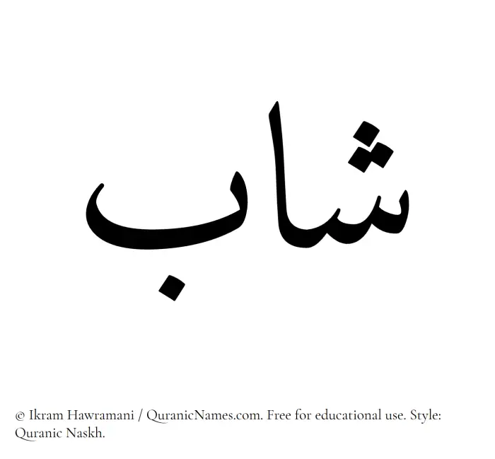The Muslim name Shab written in Quranic naskh script