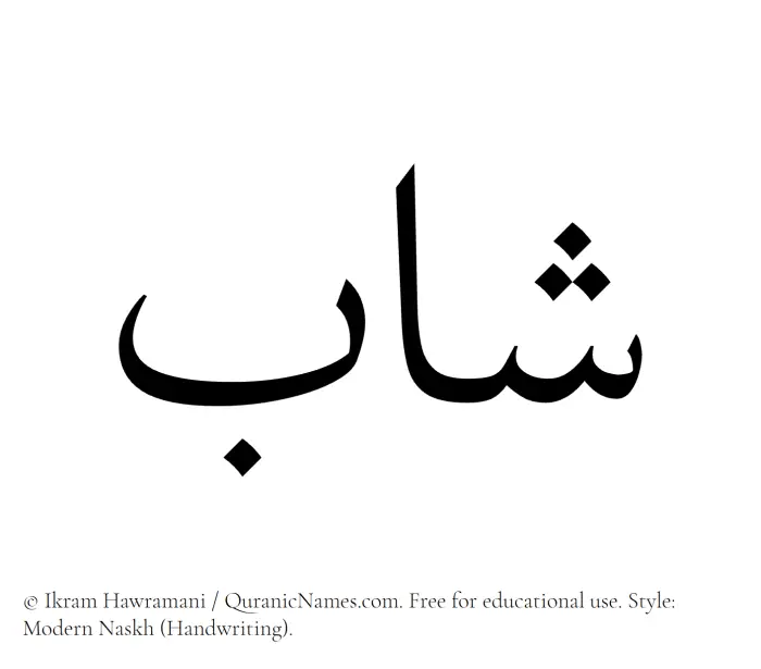 The Muslim name Shab written in naskh script