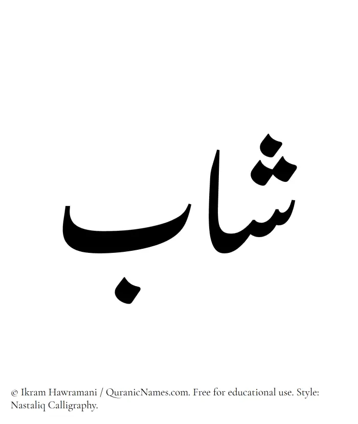 The Muslim name word Shab written in Nastaliq calligraphic script