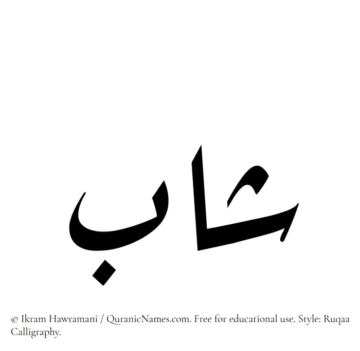The Muslim name Shab written in Ruqaa calligraphic script