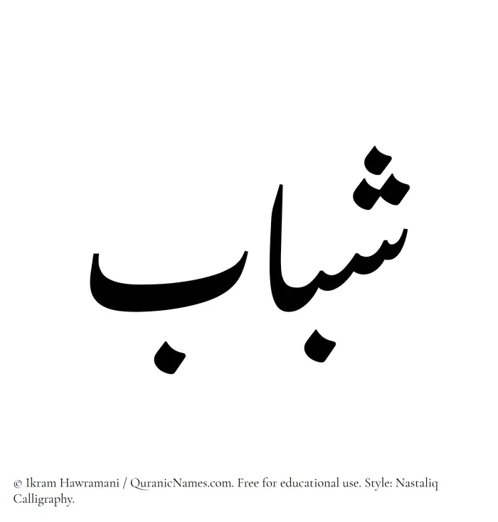 The Muslim name word Shabab written in Nastaliq calligraphic script