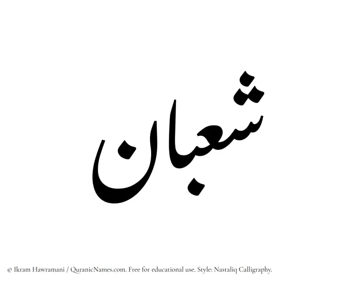 The Muslim name word Shaban written in Nastaliq calligraphic script