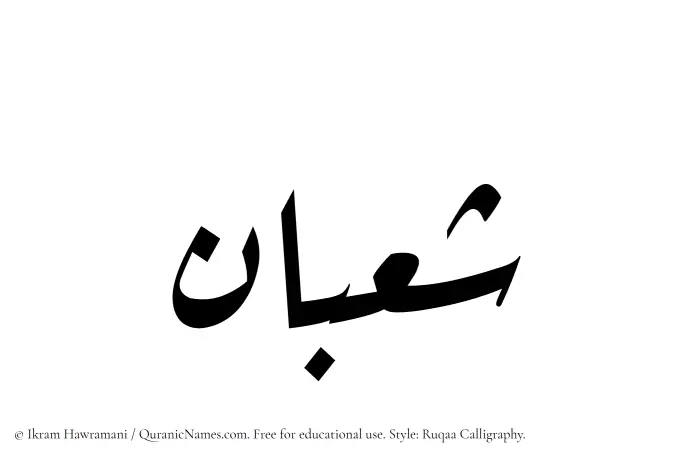 The Muslim name Shaban written in Ruqaa calligraphic script